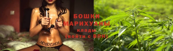 гидропоника Осинники