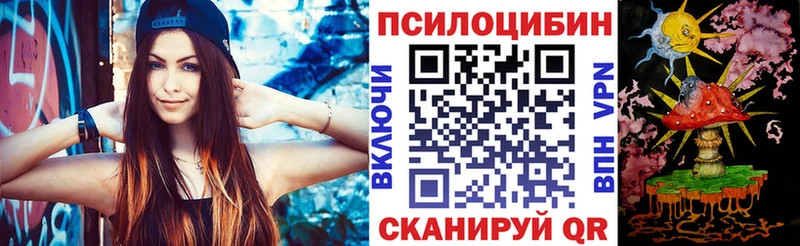 blacksprut вход  Киселёвск  Псилоцибиновые грибы Psilocybe 